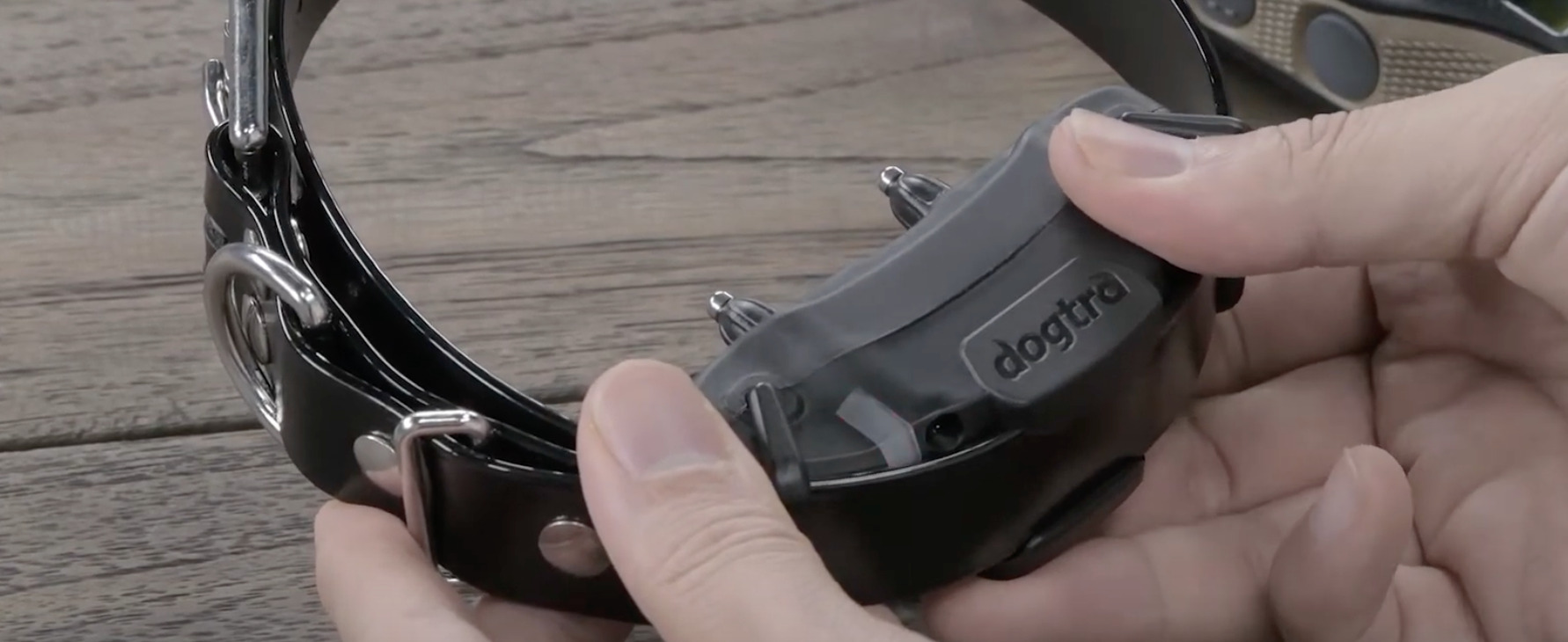 7 Best Training/Shock Collars for Rottweilers [Aug 2023] DoggoMag