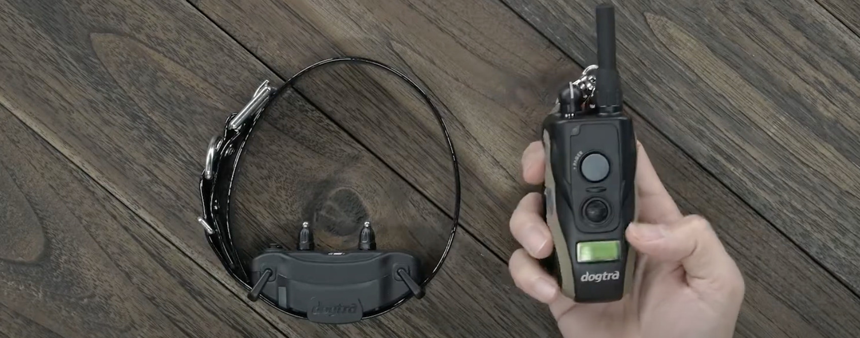 7 Best Training/Shock Collars for Rottweilers [Aug 2023] DoggoMag