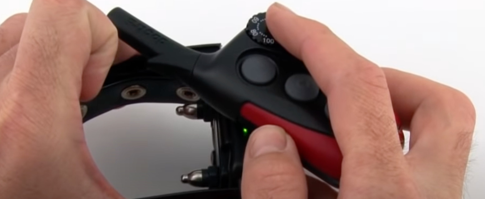 7 Best Shock Collars for Rottweilers [July 2023] DoggoMag