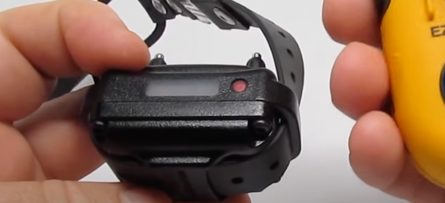 7 Best Training/Shock Collars for Rottweilers [Aug 2023] DoggoMag