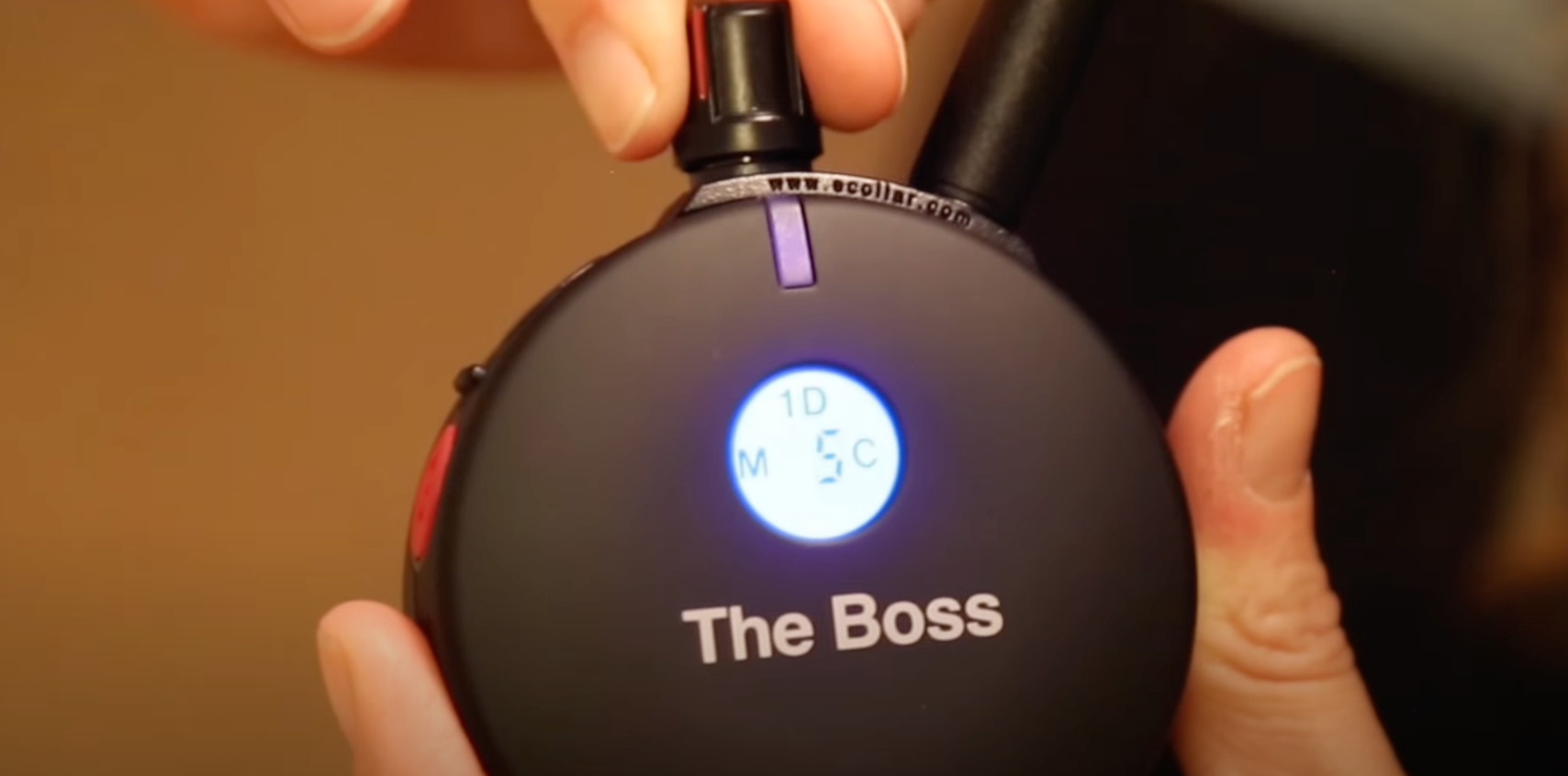 7 Best Shock/Training Collars for German Shepherds [Oct 2023] DoggoMag