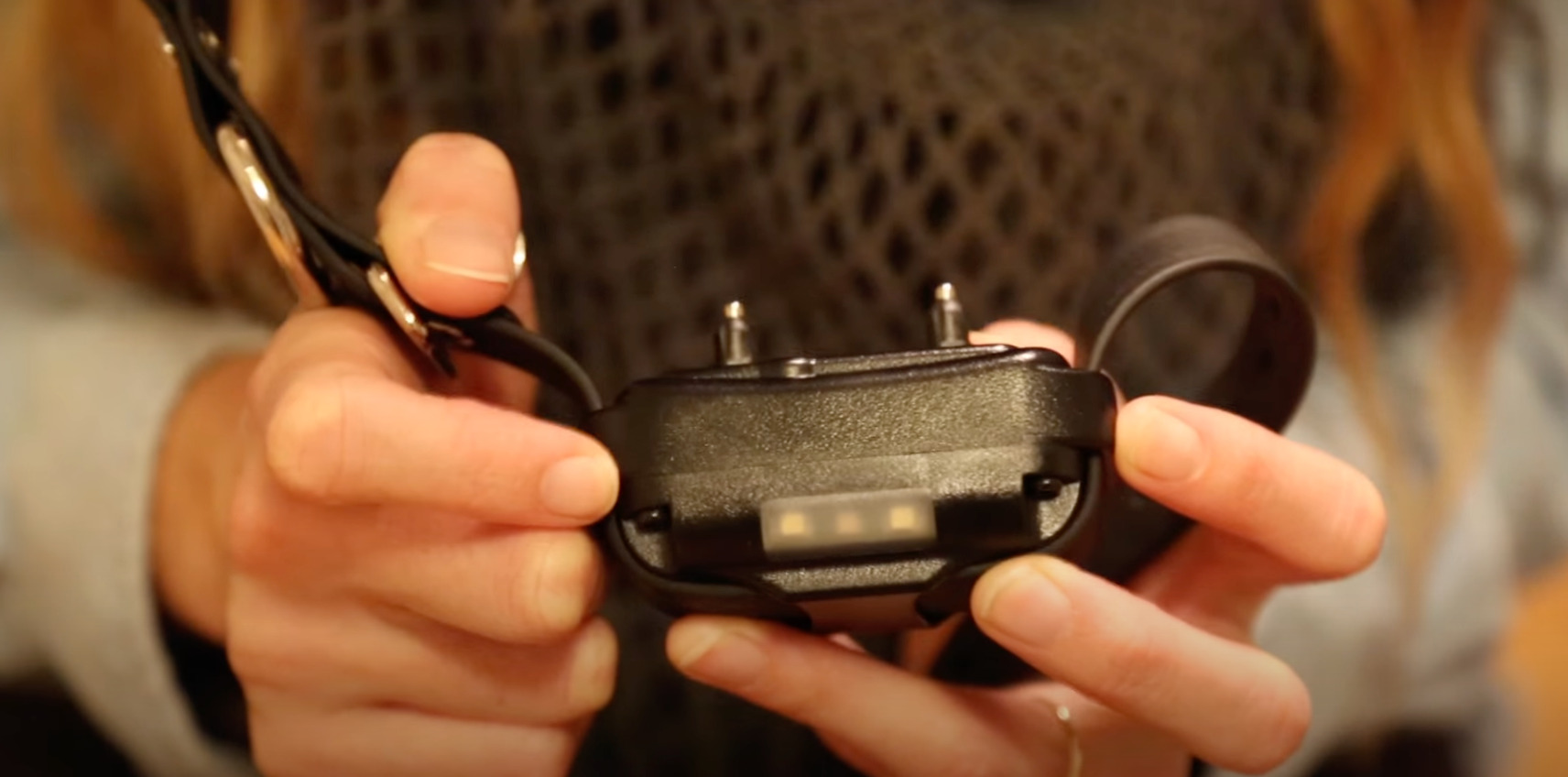 7 Best Shock/Training Collars for German Shepherds [Oct 2023] DoggoMag