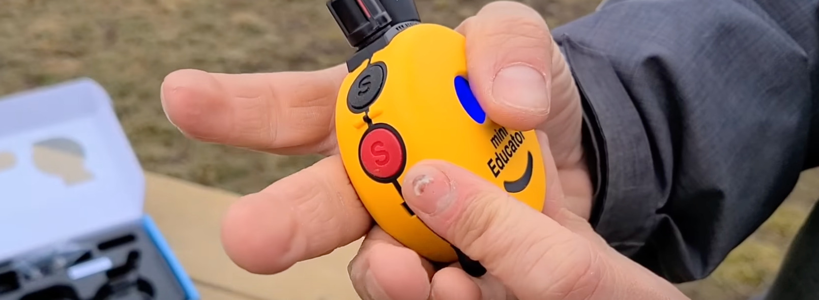 7 Best (Reliable) Training/Shock Collars for English Bulldogs DoggoMag