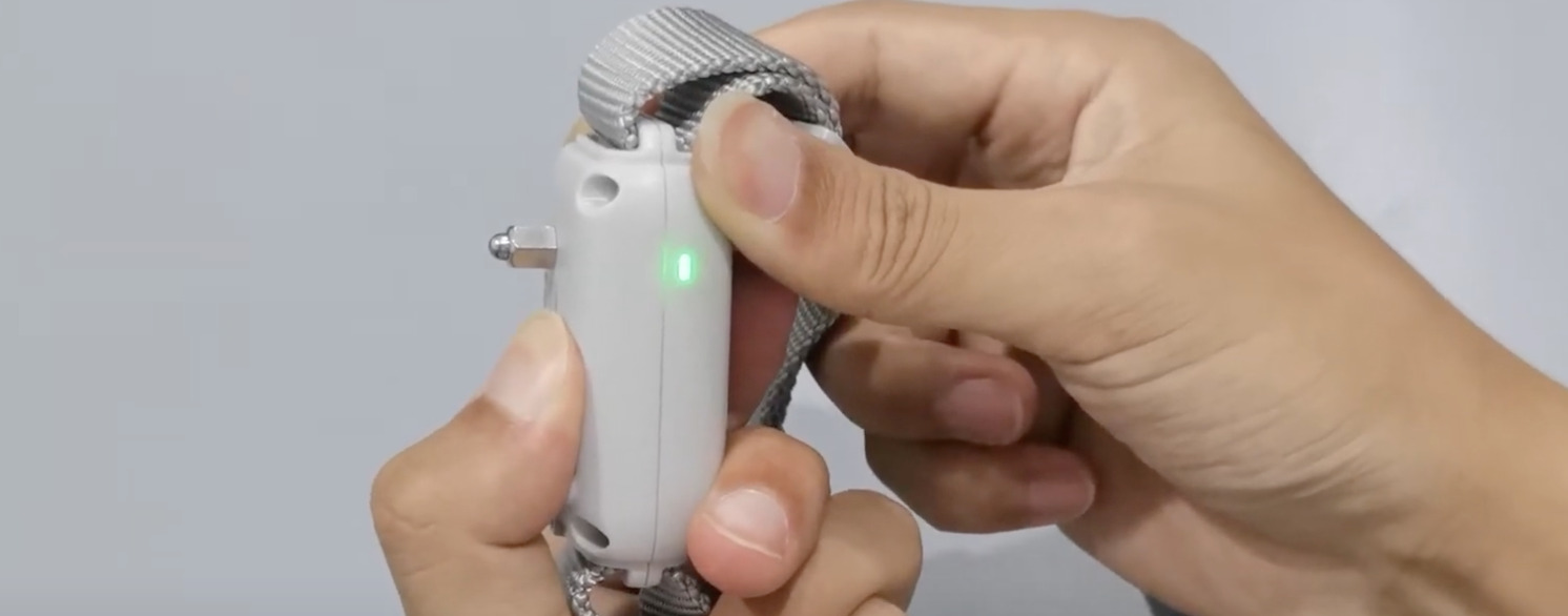 7 Right-Sized Best Shock Collars For Small Dogs [8 to 15 lbs] - DoggoMag