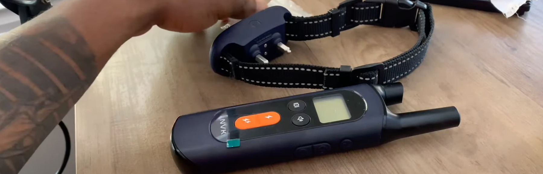 The 7 Best Training Collars for Boxers in 2023 DoggoMag