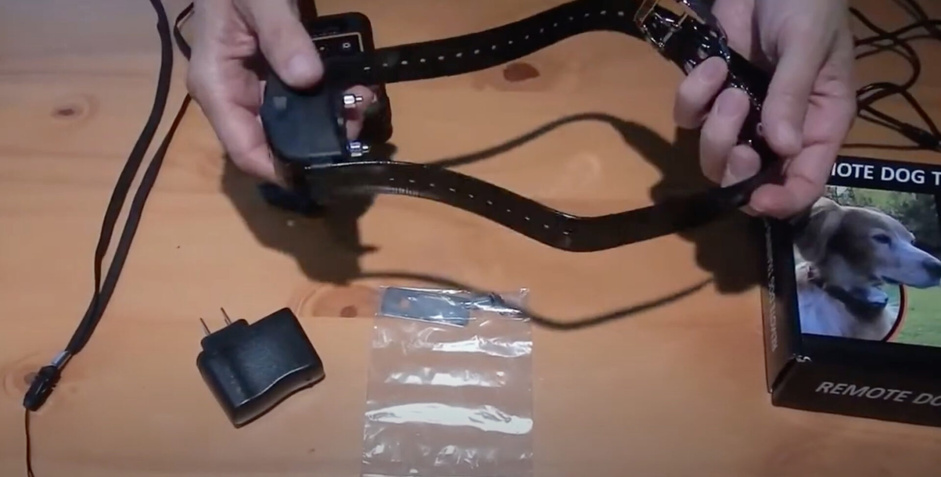 7 Best Shock Collars For LongHaired Dogs [July 2023] DoggoMag