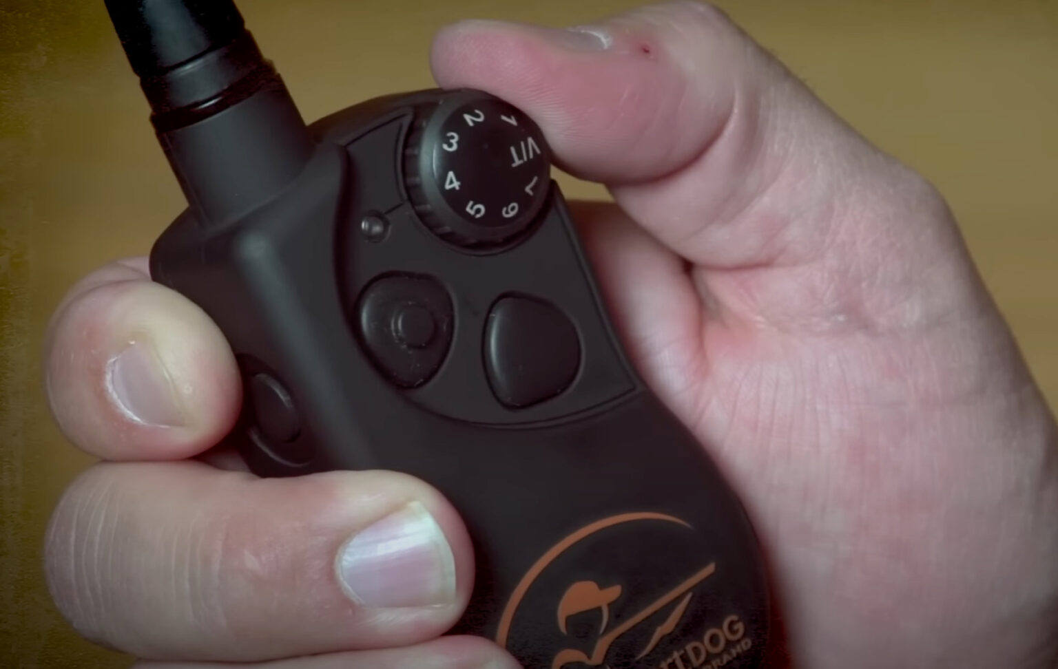 7 Best Shock/Training Collars for German Shepherds [July 2023] DoggoMag