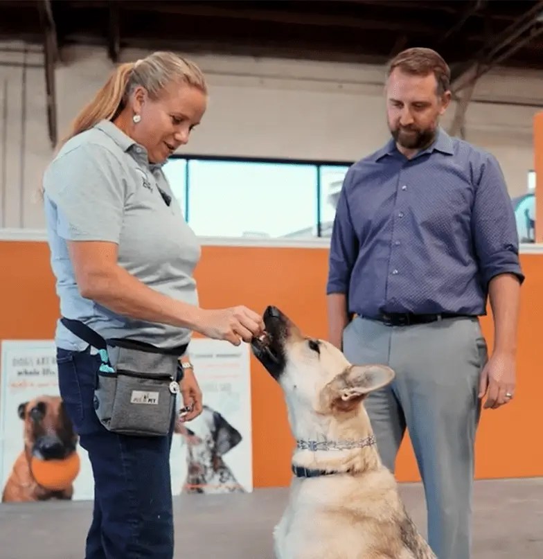 Dog Gone Amazing Professional Dog Training in Reno