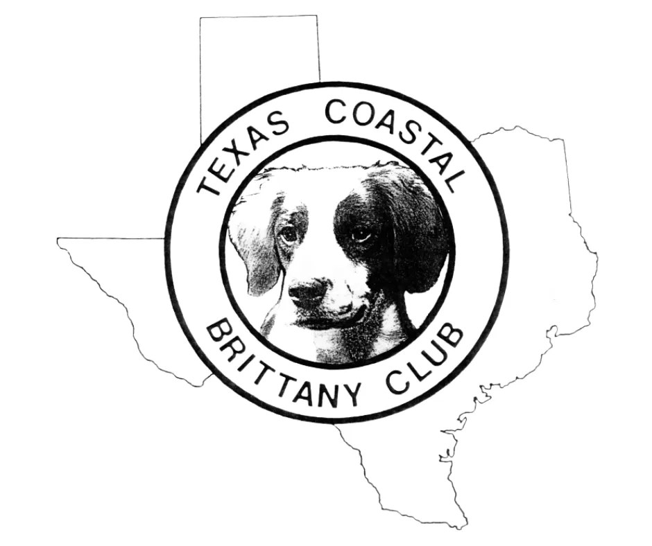Texas Coastal Brittany Club AKC Agility Dog Gone Fun Agility