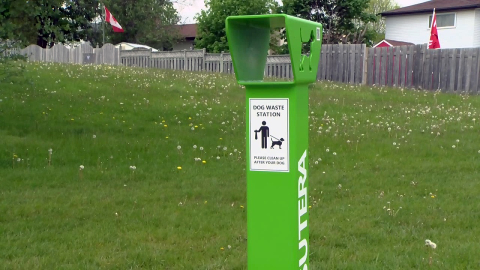 The Scoop on Poop in Waterloo Dog Gone Walking & Cat Care, Kitchener