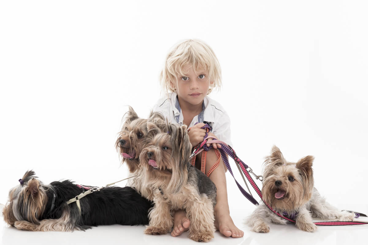 Doggo Basic Dog Training Terms