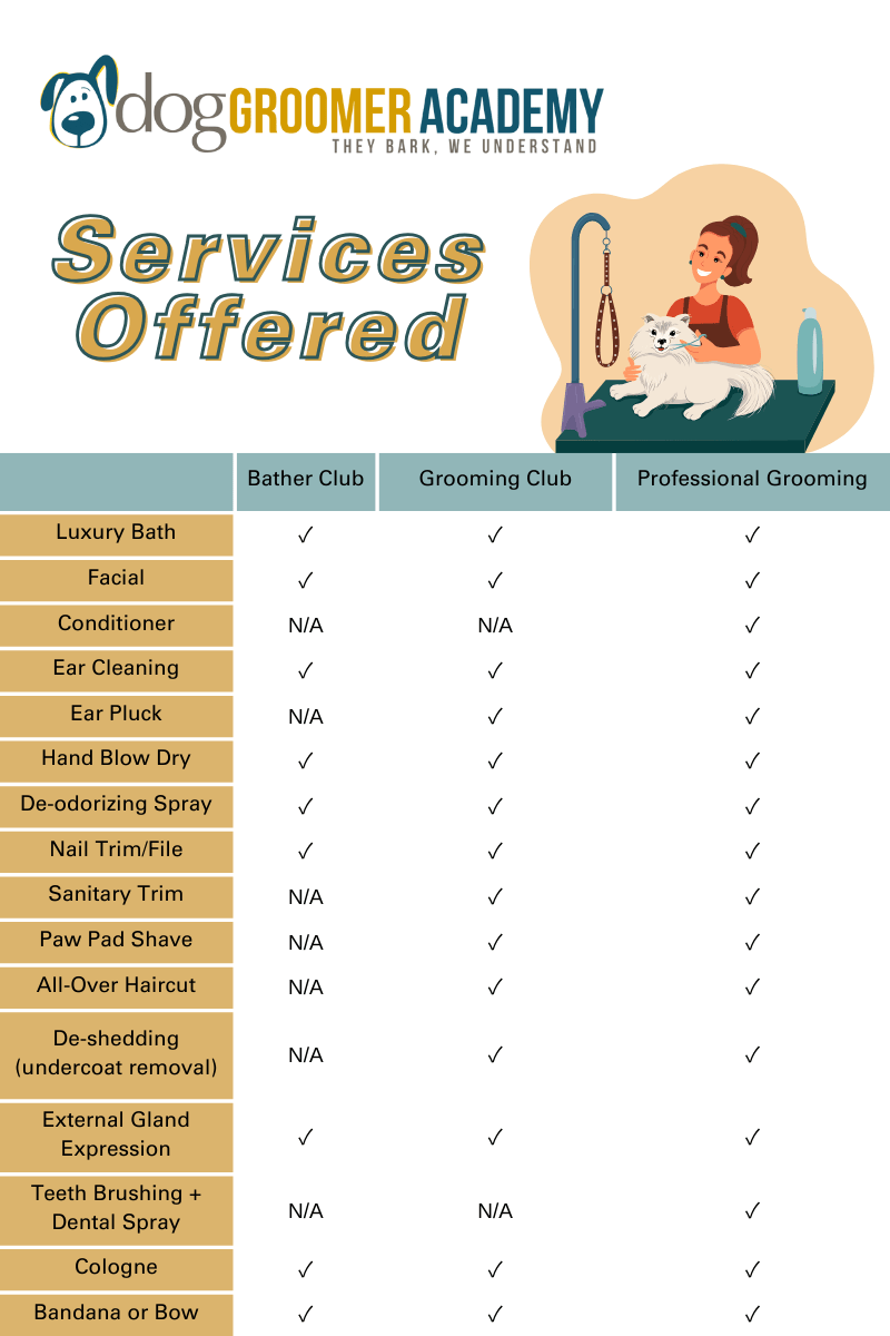 Bather and Grooming Club Florida Dog Groomer Academy Dog Trainer School