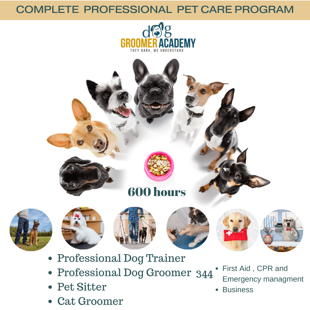 Dog Groomer and Dog Trainer Estudia Peluqueria canina y