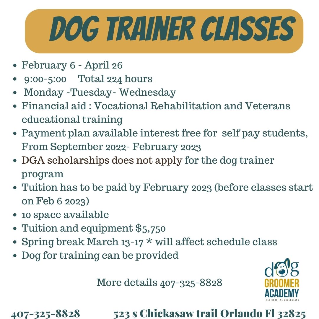 a Dog Trainer hands on training Florida Dog Groomer Academy