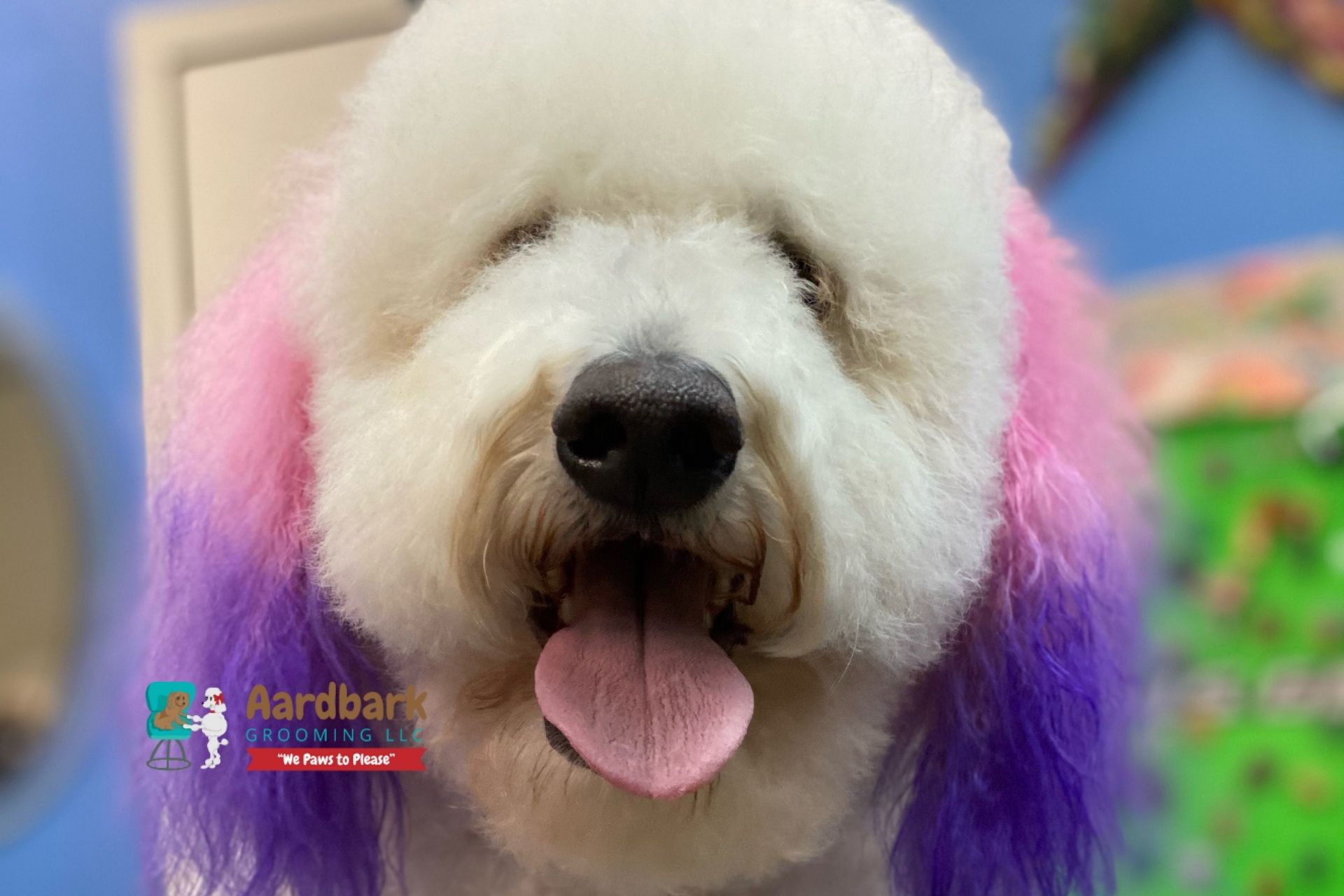 SERVICES Best Dog Groomers Gilbert Aardbark Dog & Cat Grooming