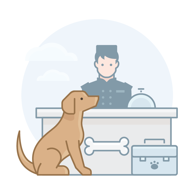 Dog Groomers Aardbark Dog Grooming Serving Gilbert since 1980