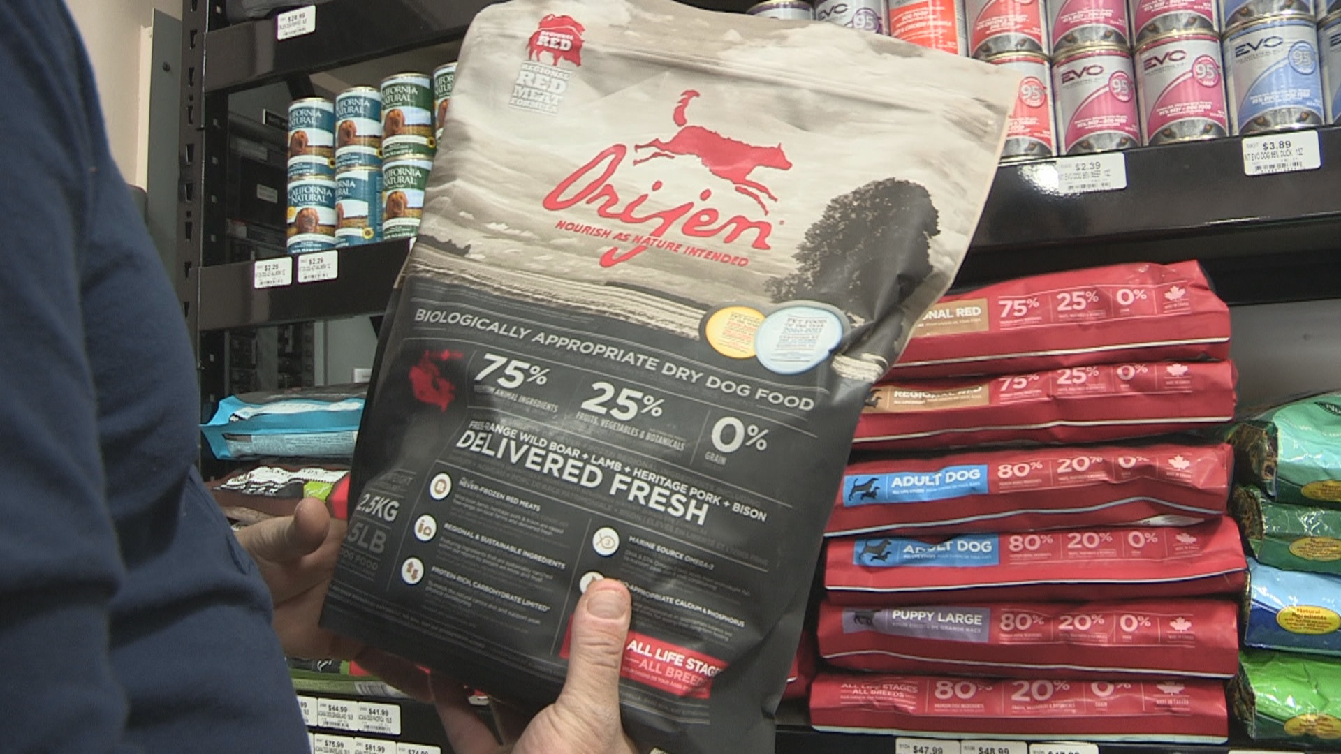 Dog Nutrition What Dog Food is Best? Orijen! Your Dog Guru