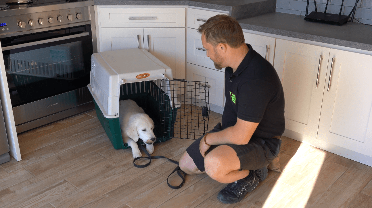 Lesson 1.5 The Crate Your Dog Guru