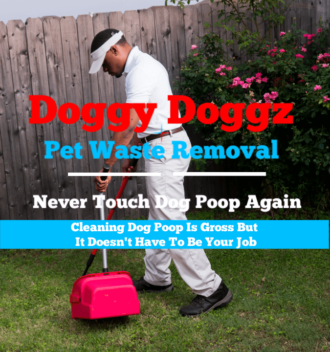 Pooper Scooper Service