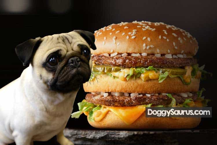 Can Dogs Eat McDonalds? (Dog Friendly McDonald’s Food List)