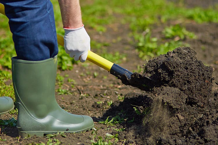 How Deep to Dig a Dog Grave in Your State or County Law!