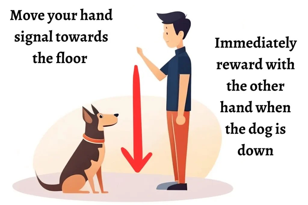 How to Teach a Dog to Lay Down (4 Steps) DogHIB