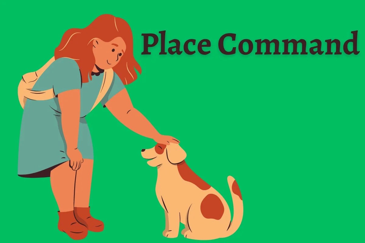 How to Train Your Dog to Place in Just 30 Minutes DogHIB