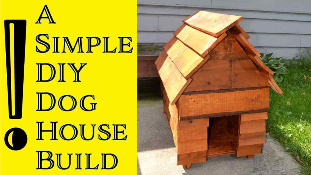 The Best 8 Dog House Building Materials Dog House Times