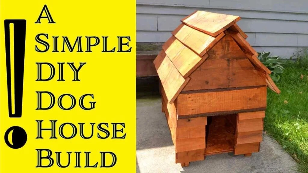 The Best 8 Dog House Building Materials Dog House Times