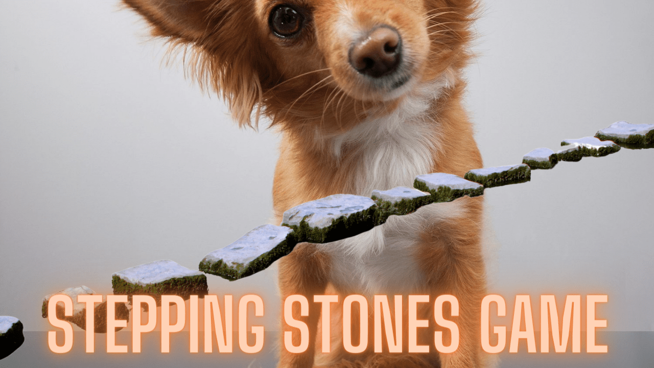 Stepping Stones to Calm and Confident Walks. A Chaining Game for