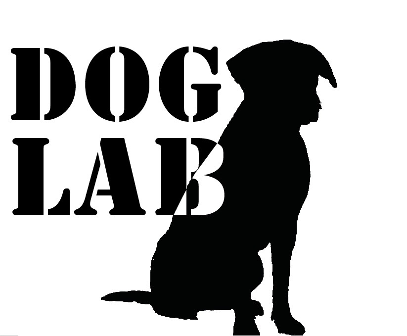DOG LAB TEXAS