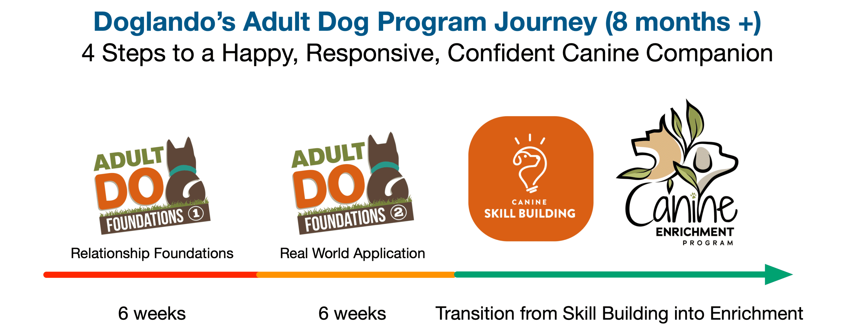 Adult Dog Training Program Doglando Canine Enrichment