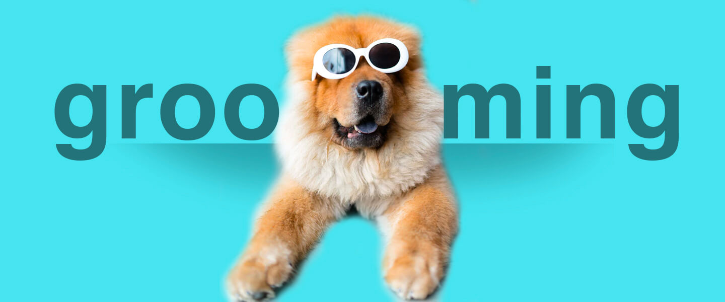 Grooming Dog Leash Pro