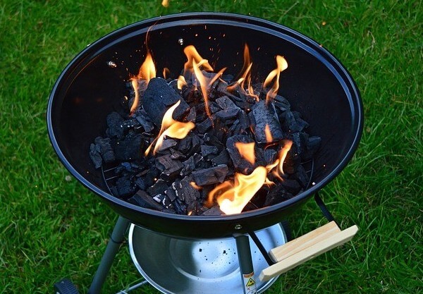 Can Dogs Eat Charcoal? Dog Leash Pro