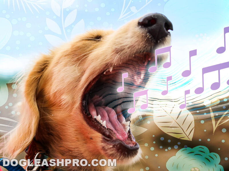 Do Dogs Get Tired Of Barking? Dog Leash Pro