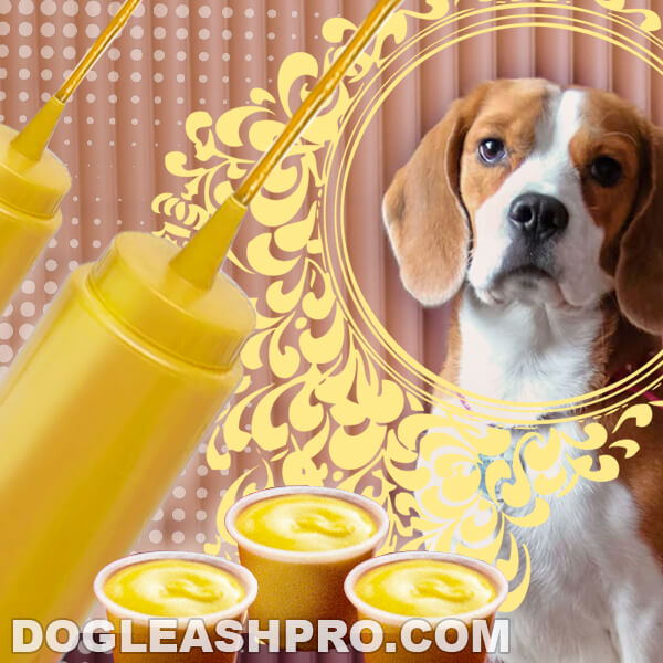 Can Dogs Eat Mustard? Dog Leash Pro