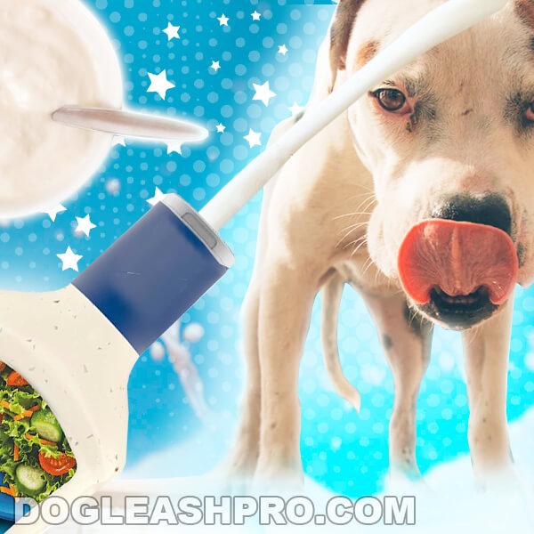Are Cool Ranch Doritos Bad For Dogs