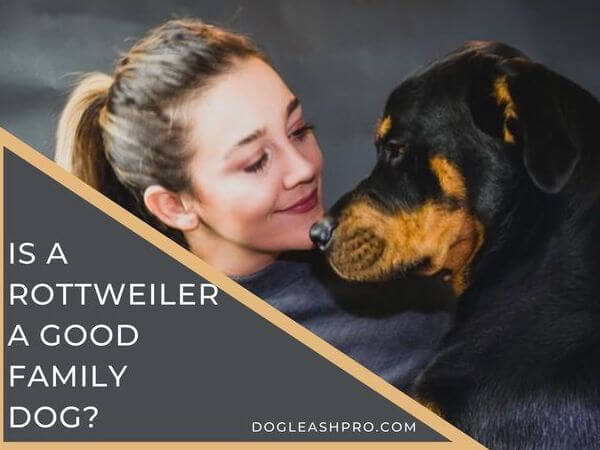 Are Rottweilers Good With Kids? Dog Leash Pro