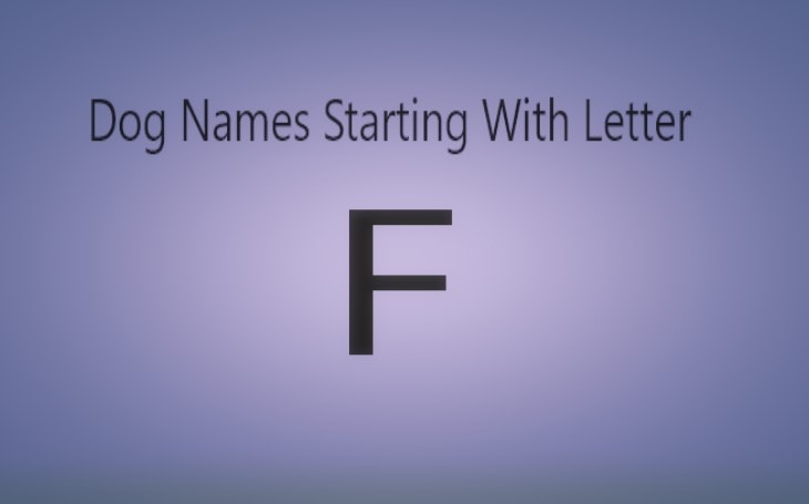 Extraordinary Dog Names Starting With Letter “F”. Both Male and Female Dogs