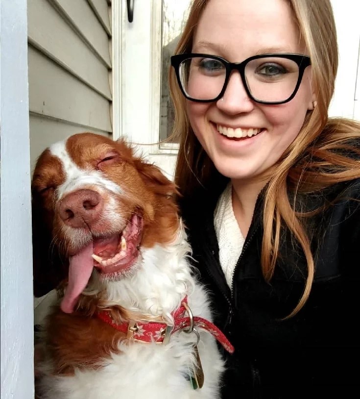Brittany Dog Temperament And Personality NonAggressive And Affectionate