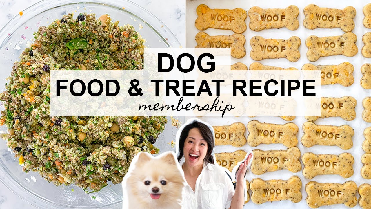 3 Homemade Dog Treat Recipes That Vets Approved