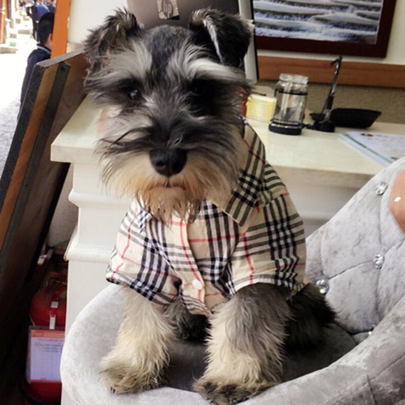 Acheter Chemise Pour Chien Burberry 2024