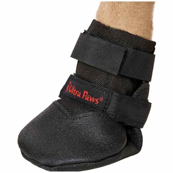 Best Dog Boots For Snow Winter & Nonslip Dog Booties For Hiking 2022