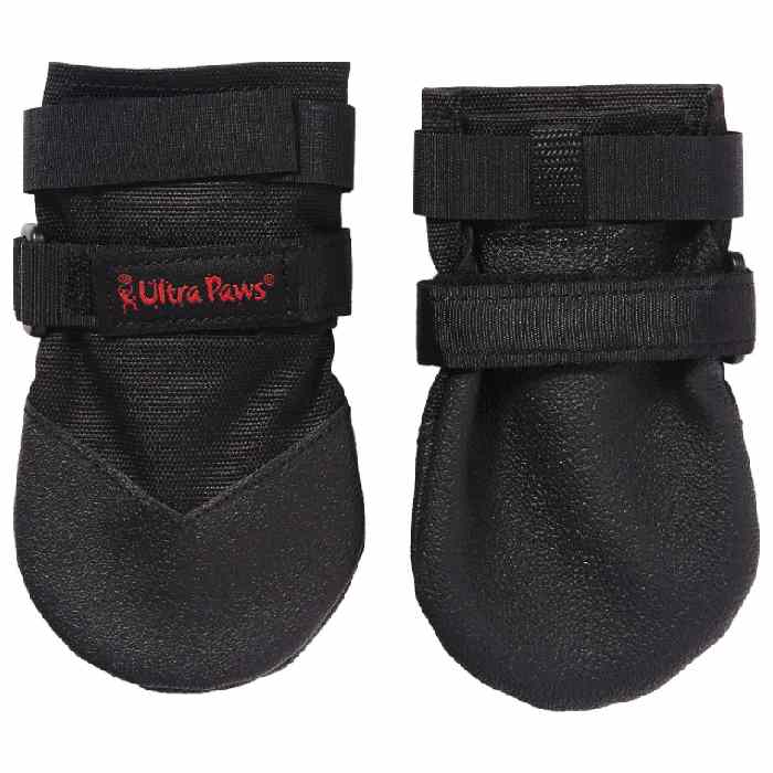 Best Dog Boots For Snow Winter & Nonslip Dog Booties For Hiking 2024