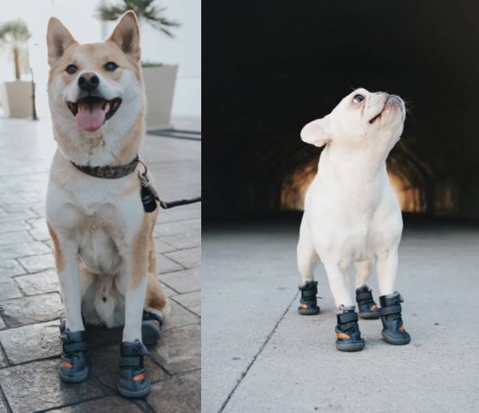 Best Dog Shoes For Summer Heat Paws Booties For Hot Pavement Walking 2024