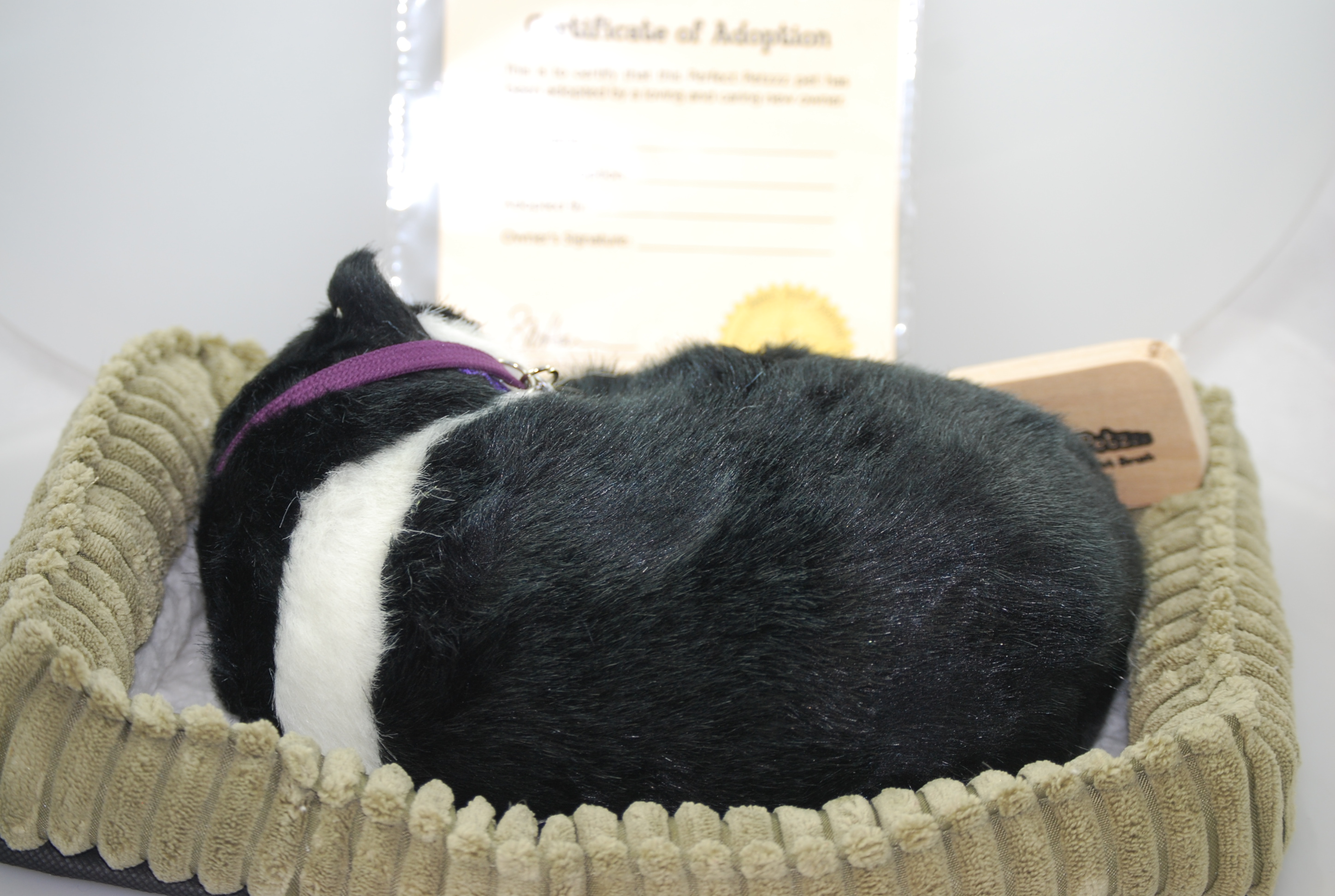 Black White Shorthair Perfect Petzzz Cat Life Like Stuffed Animal