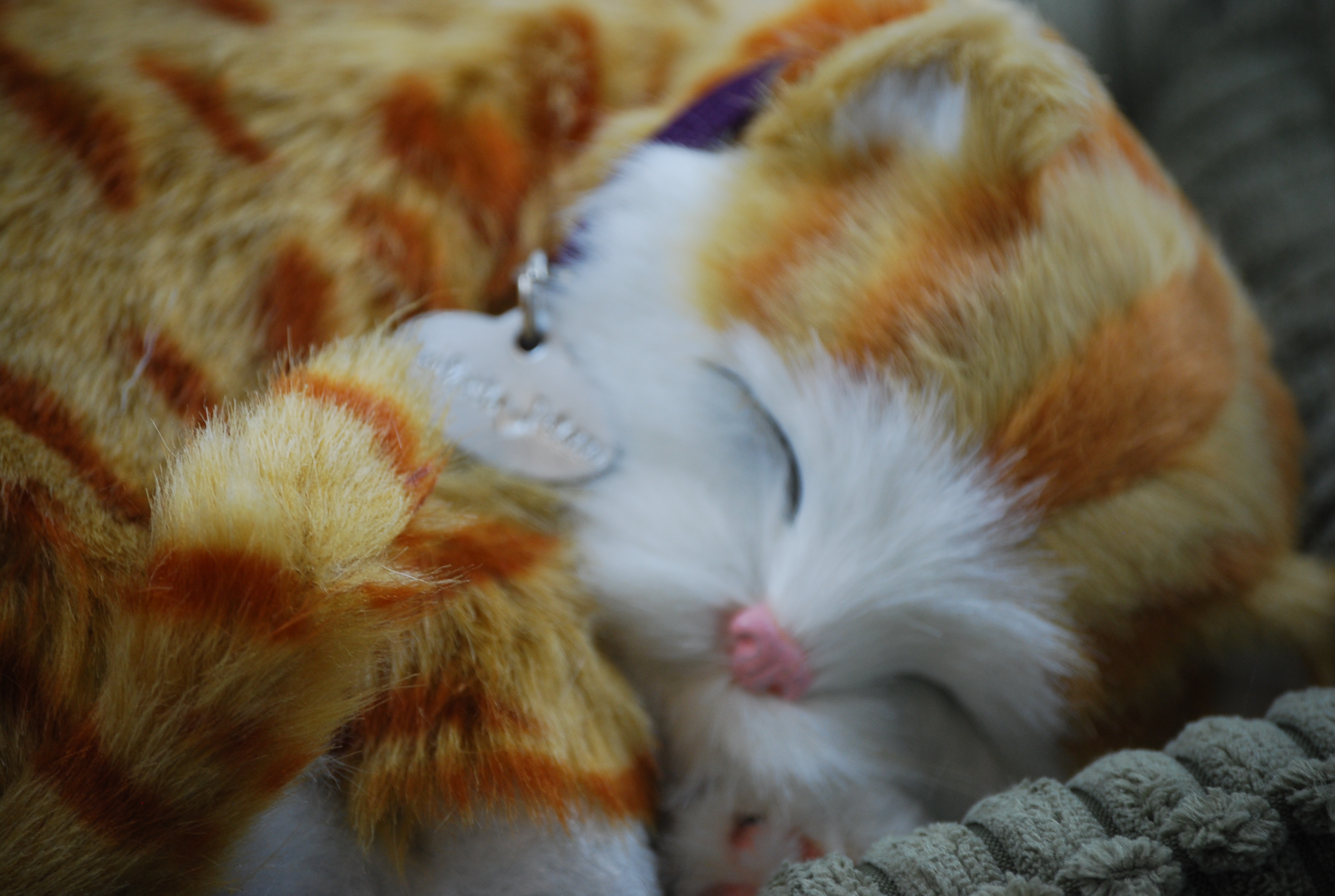 Orange Tabby Perfect Petzzz Life Like Stuffed Animal Breathing Cat