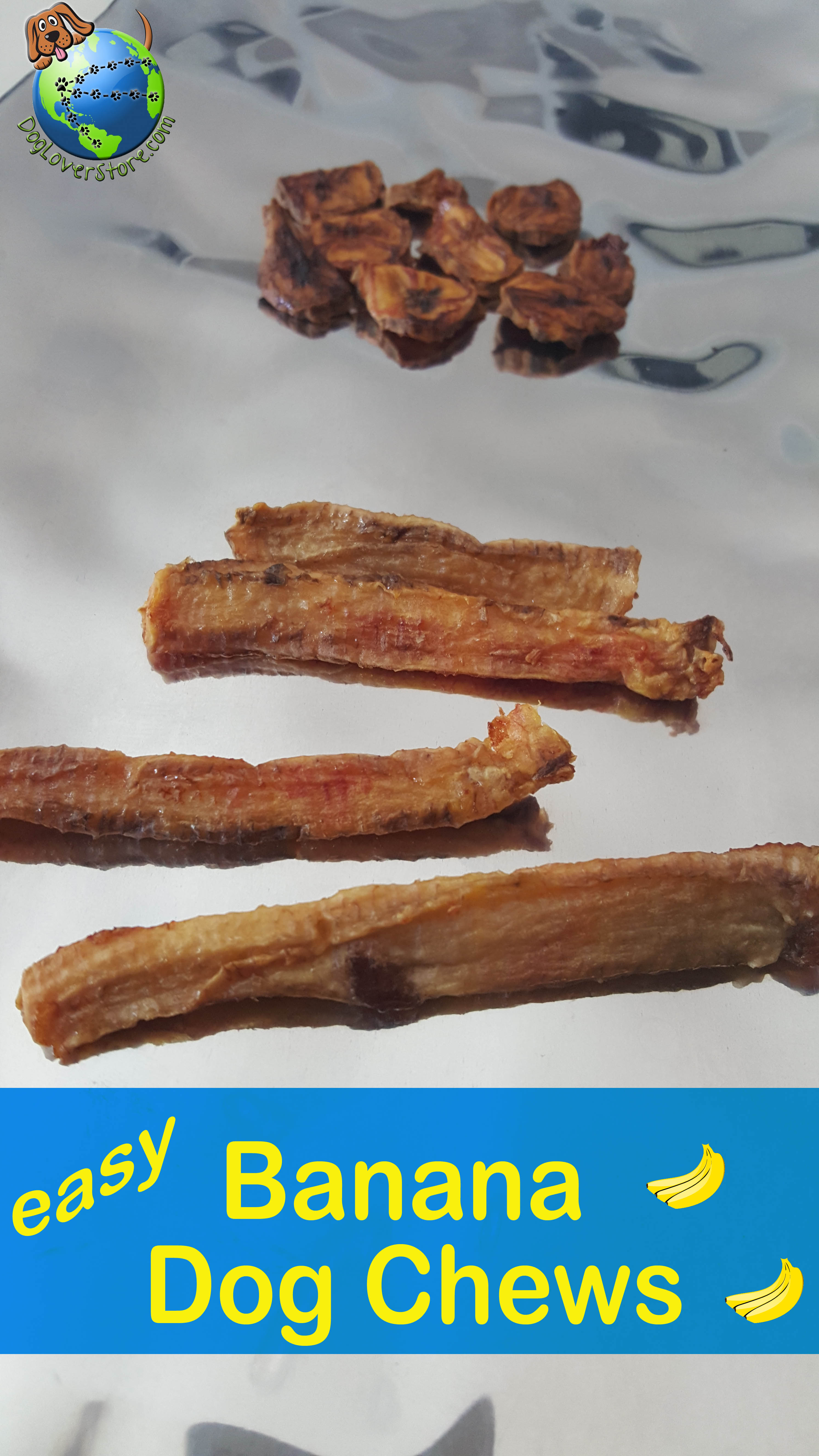 Can Dogs Eat Bananas? DogLoverStore