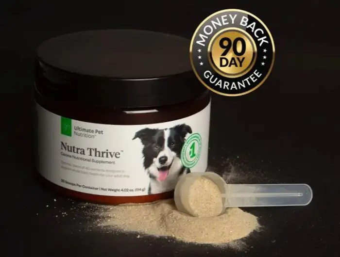 Nutra Thrive for Dogs >>An Honest Review