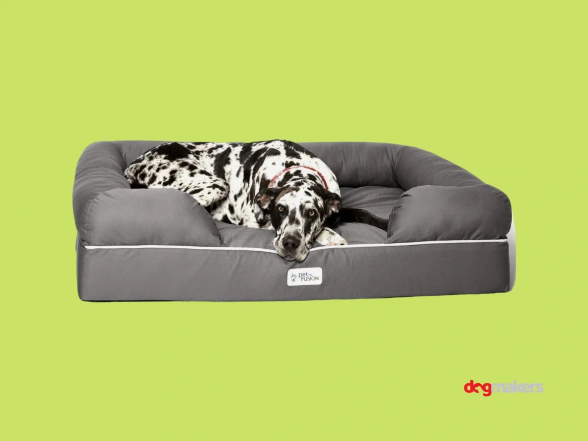 Why Petfusion Ultimate Dog Bed Will Change Your Life